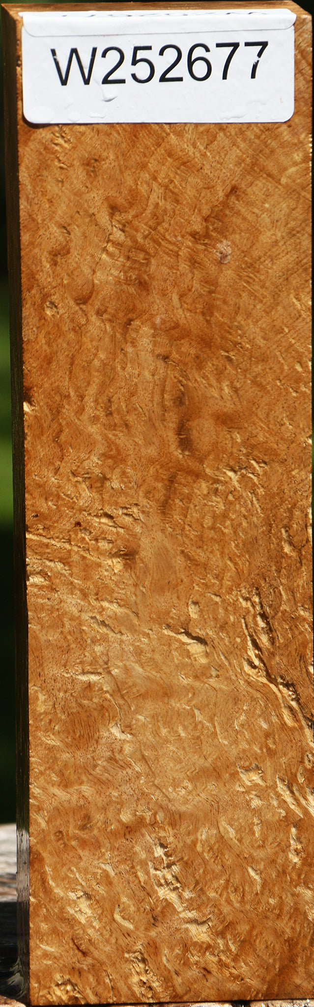 Extra Fancy Asian Satinwood Burl Turning Blank