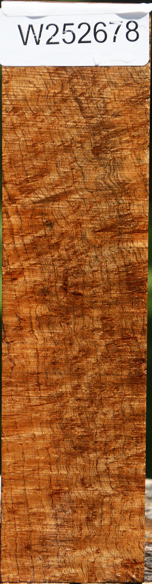 Extra Fancy Asian Satinwood Burl Turning Blank