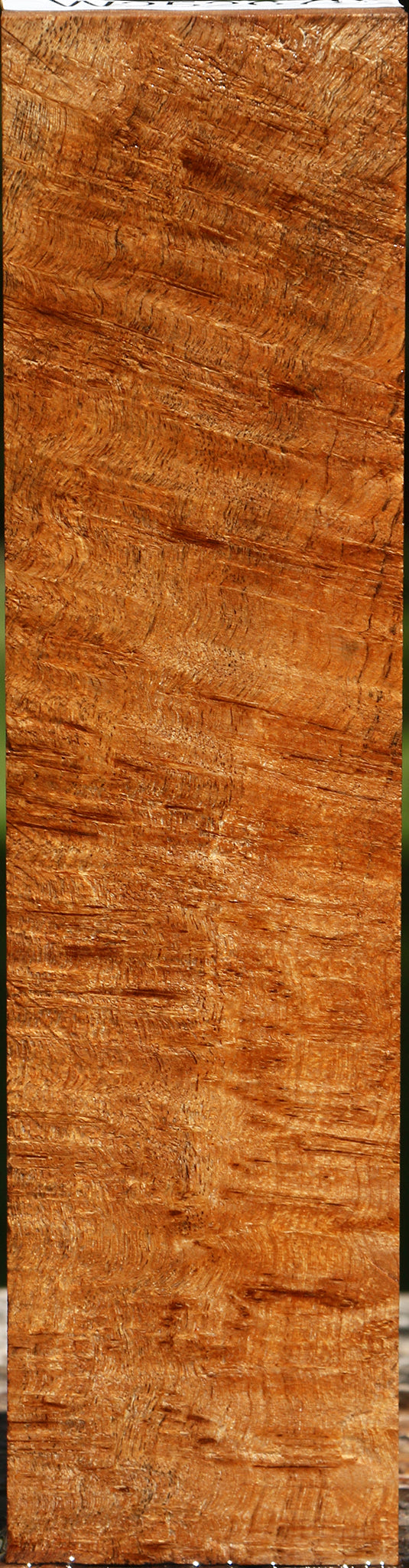 Extra Fancy Asian Satinwood Burl Turning Blank