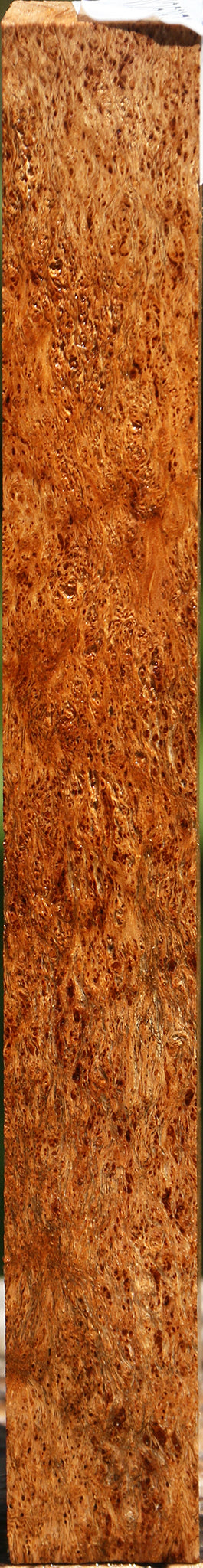 Extra Fancy Asian Satinwood Burl Lumber