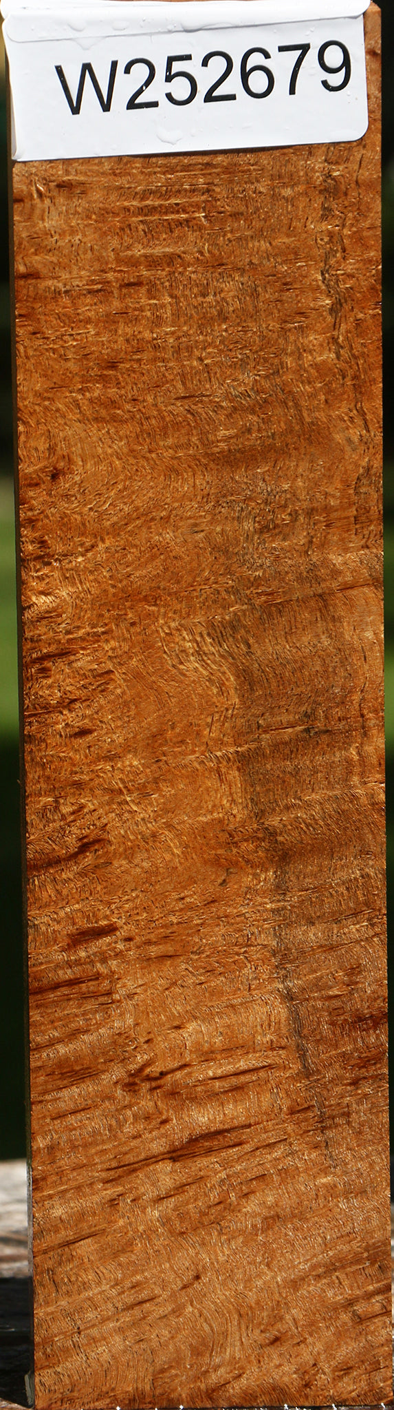 Extra Fancy Asian Satinwood Burl Lumber