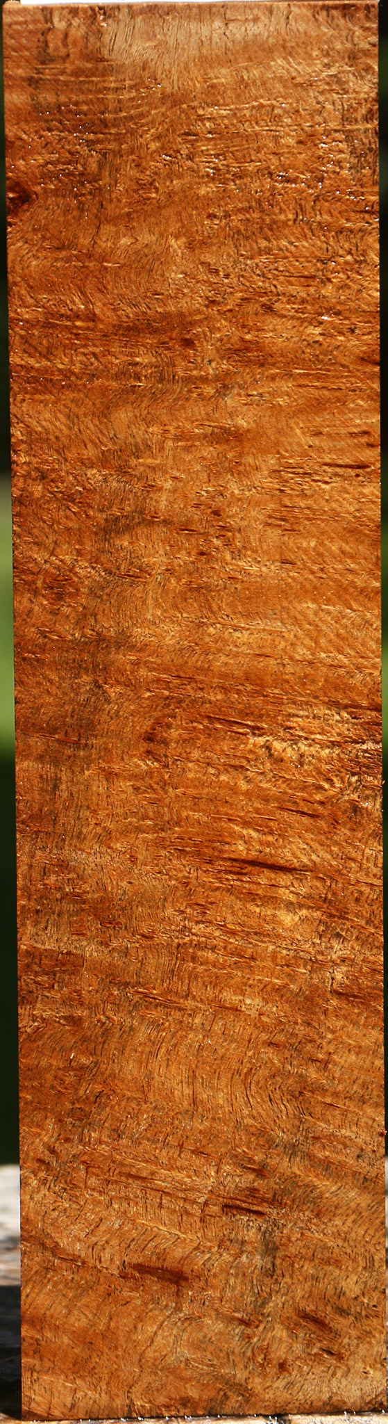Extra Fancy Asian Satinwood Burl Lumber