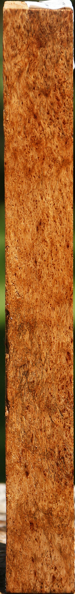 Extra Fancy Asian Satinwood Burl Lumber