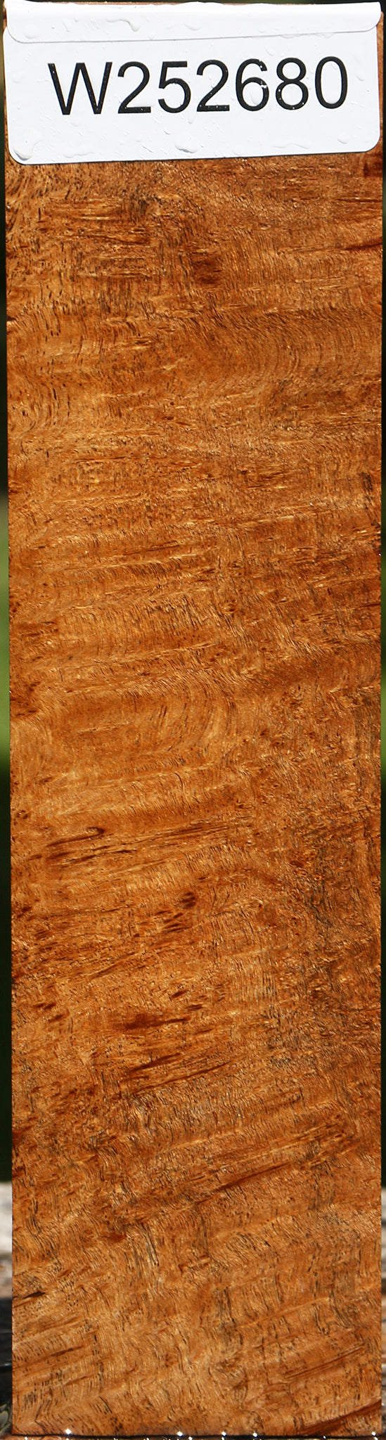 Extra Fancy Asian Satinwood Burl Lumber