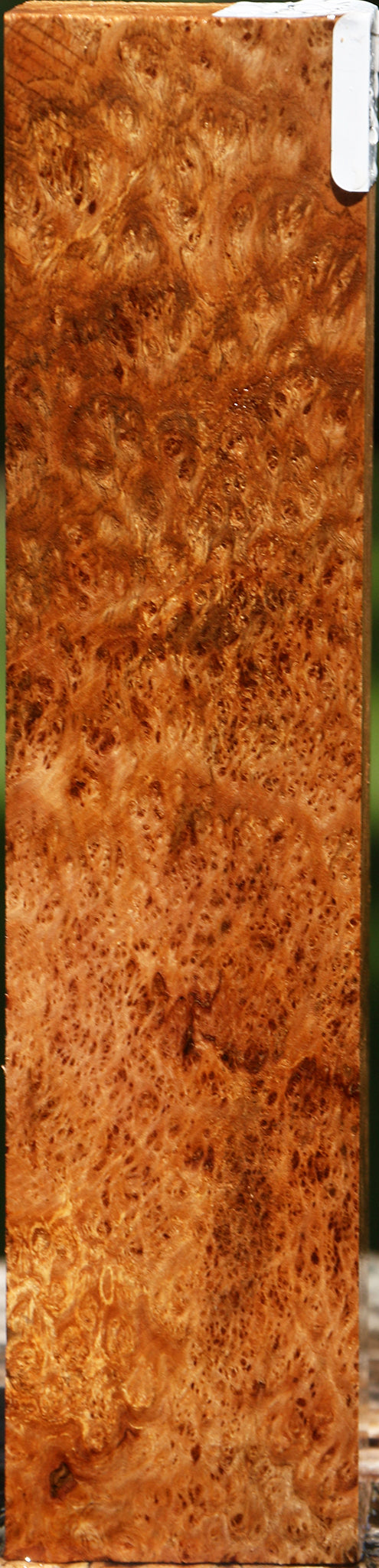 Asian Satinwood Burl Turning Blank