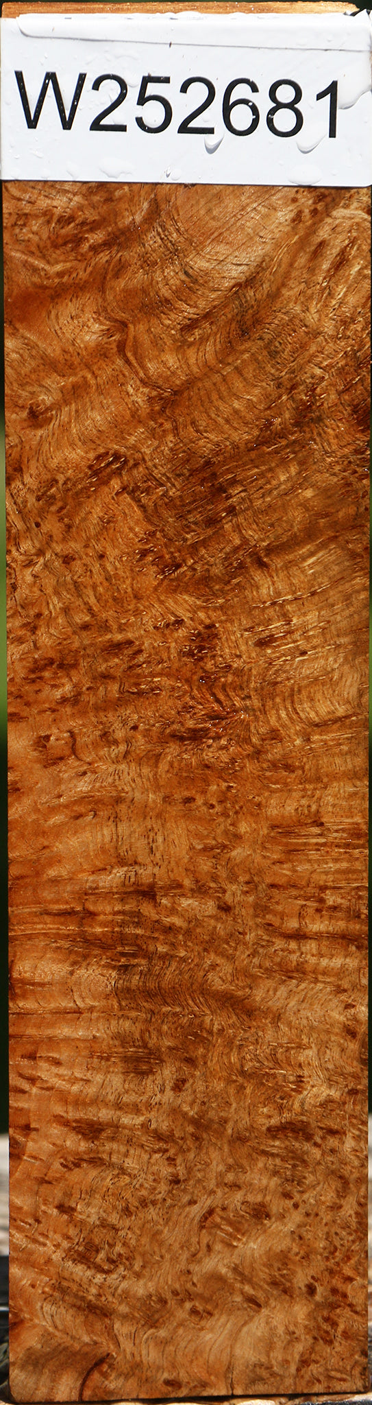 Asian Satinwood Burl Turning Blank