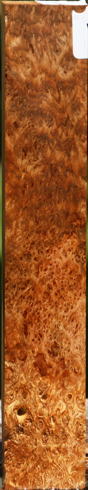 Asian Satinwood Burl Lumber