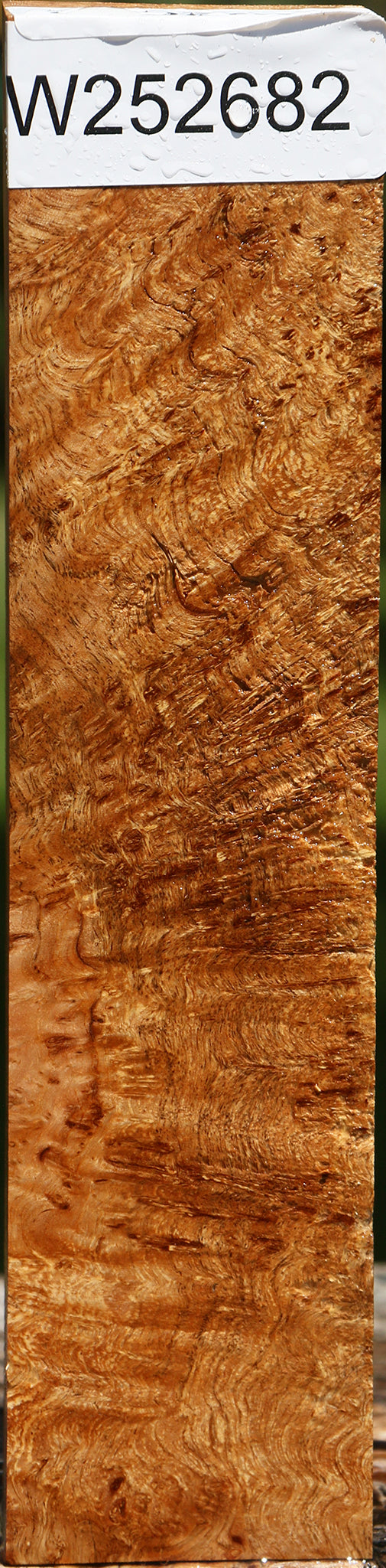 Asian Satinwood Burl Lumber