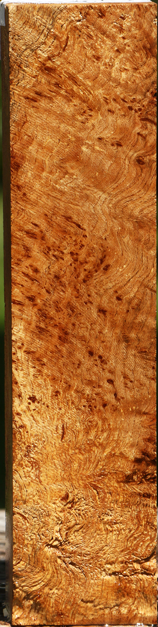 Asian Satinwood Burl Lumber