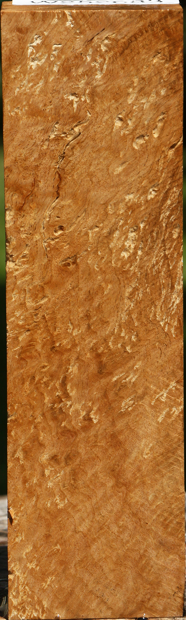 Rustic Asian Satinwood Burl Turning Blank