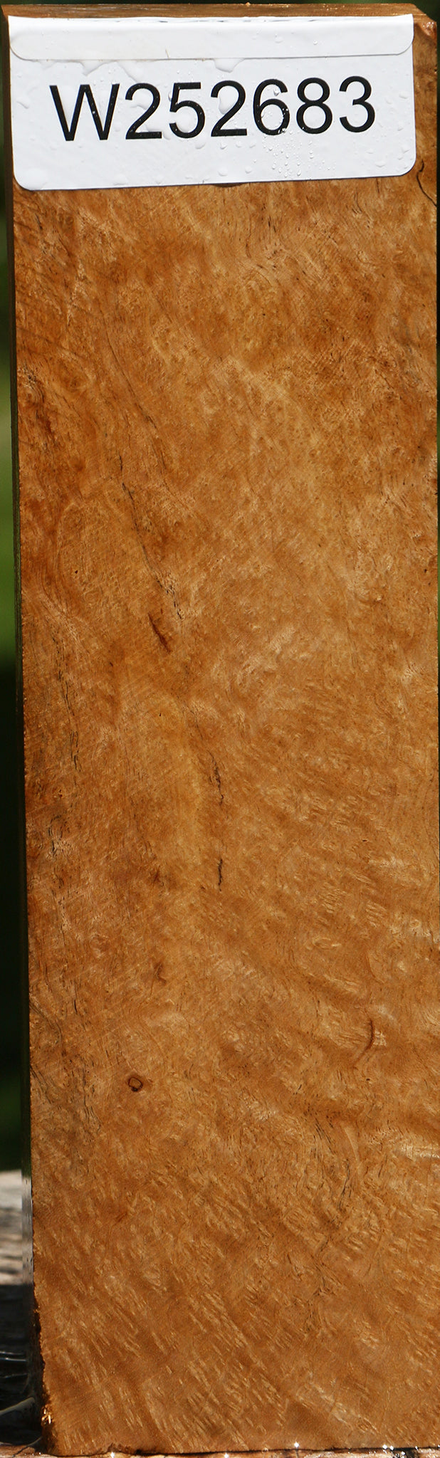 Rustic Asian Satinwood Burl Turning Blank