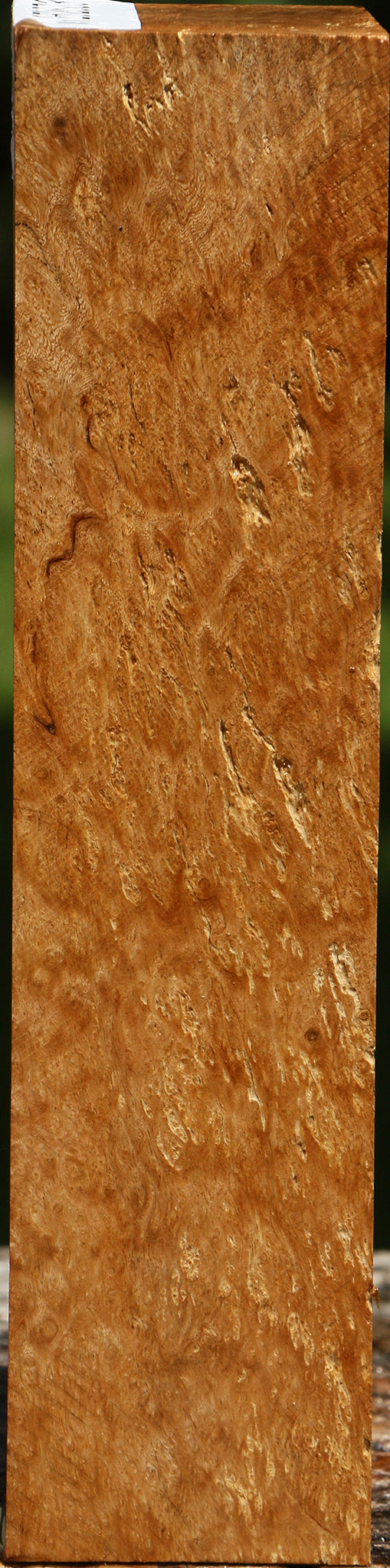 Rustic Asian Satinwood Burl Turning Blank