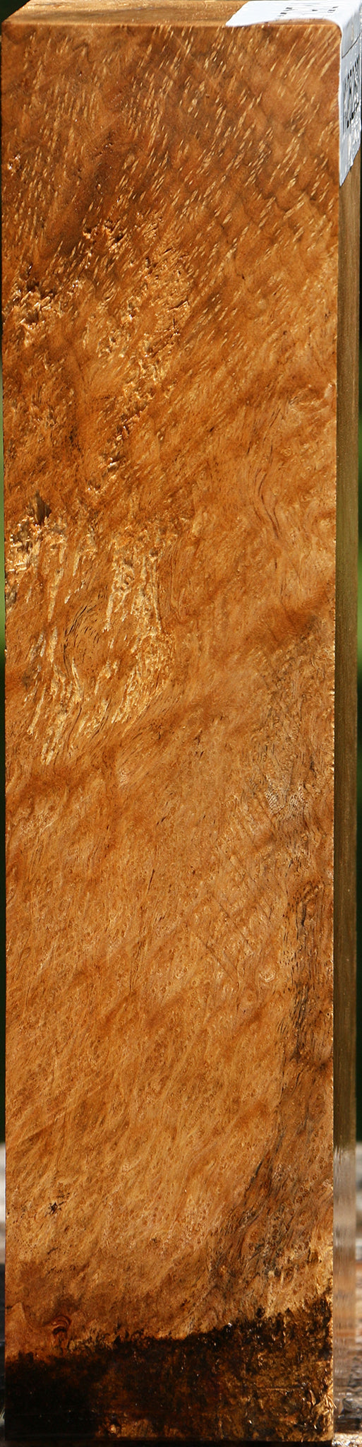 Rustic Asian Satinwood Burl Turning Blank