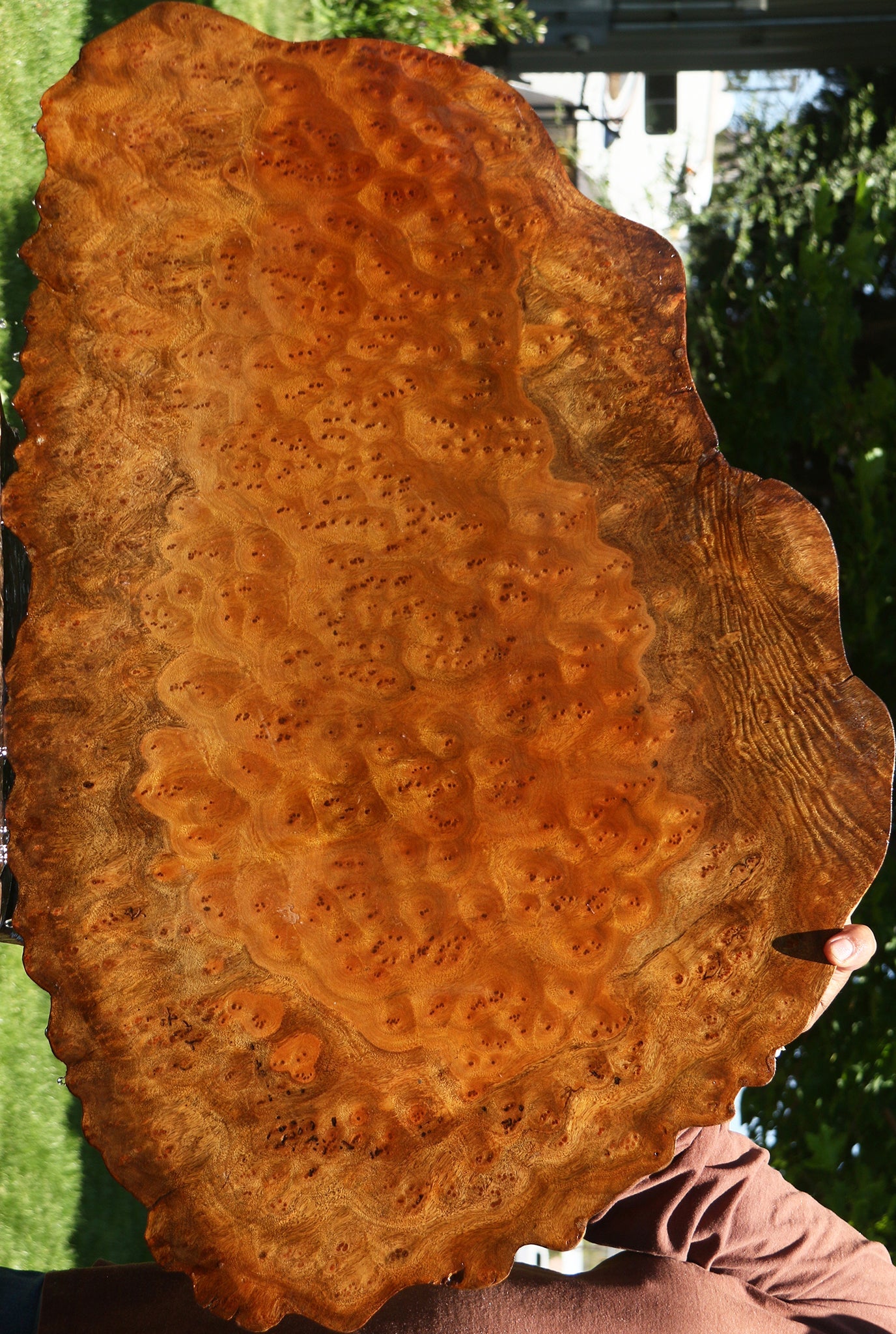 Camphor Burl Cookie