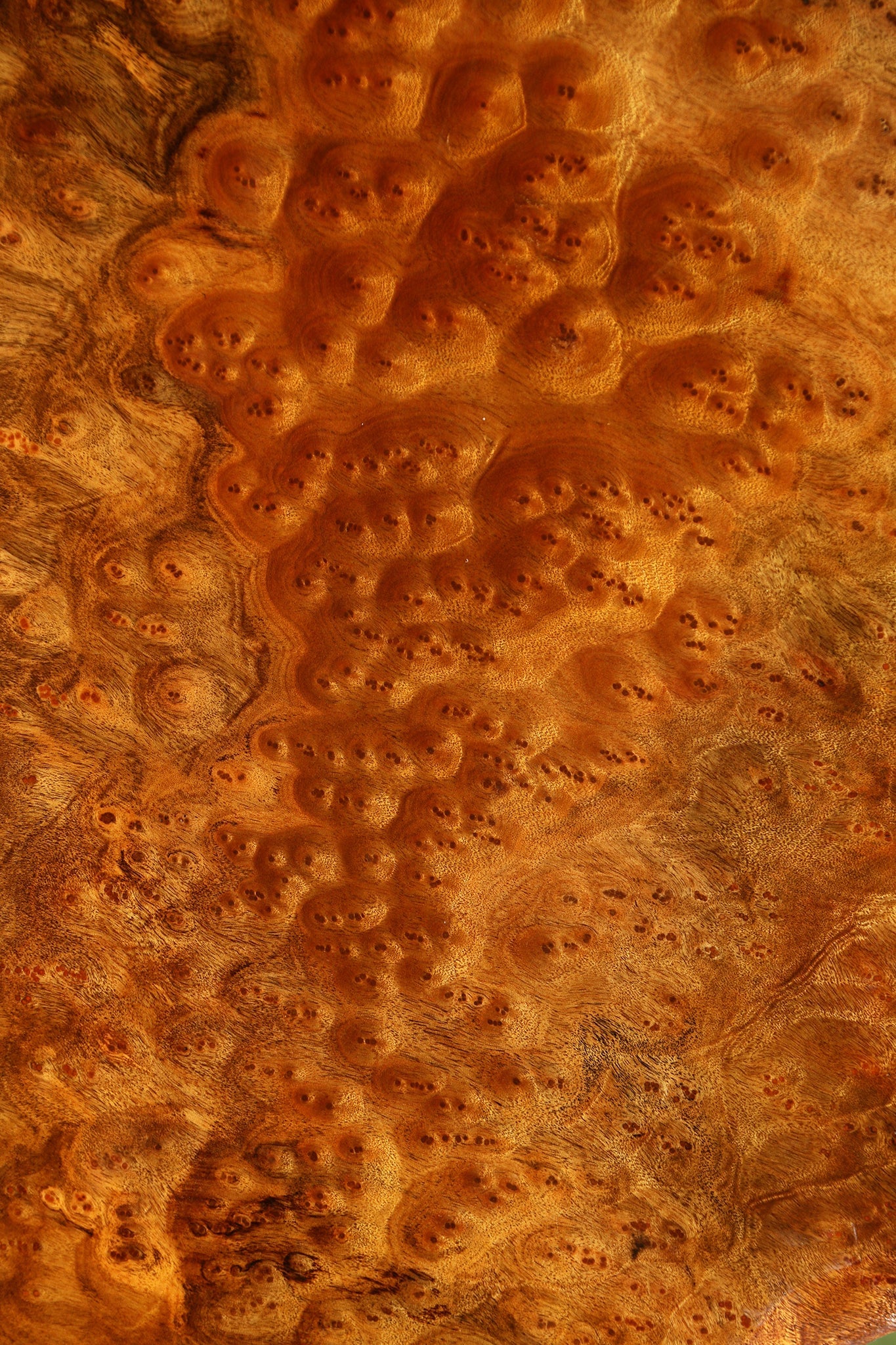 Camphor Burl Cookie