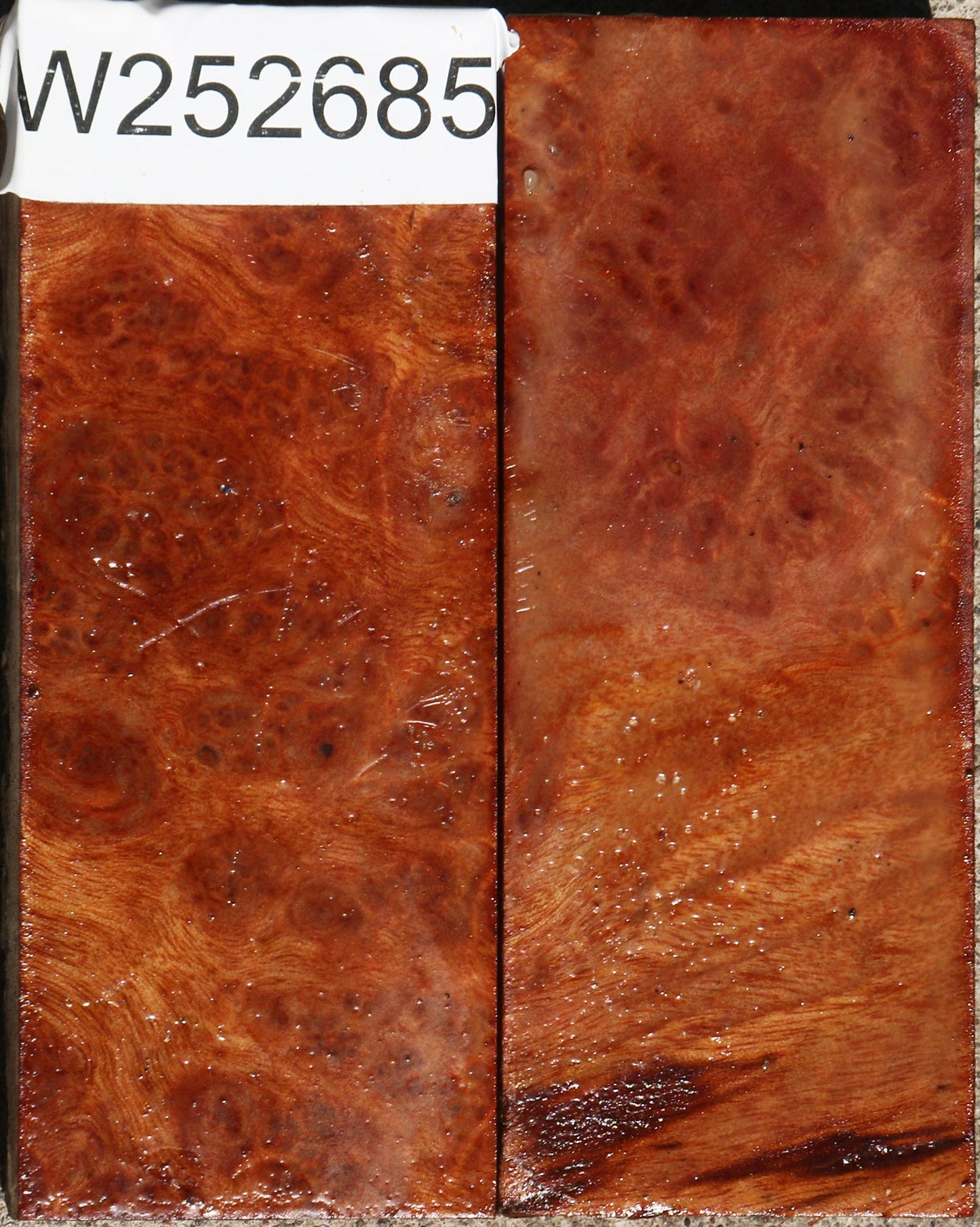 Camphor Burl Lumber