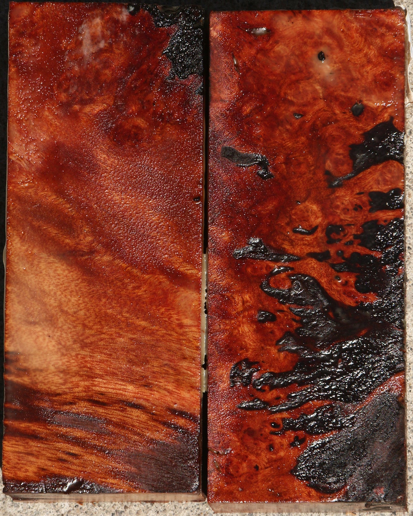 Camphor Burl Lumber