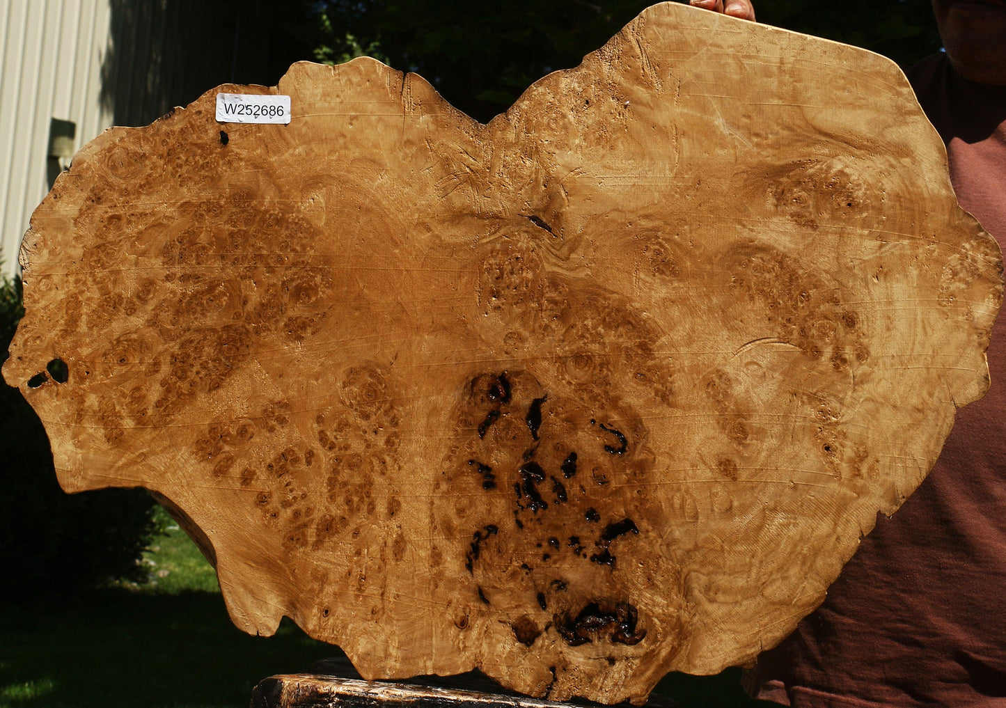 Crepe Myrtle Cookie
