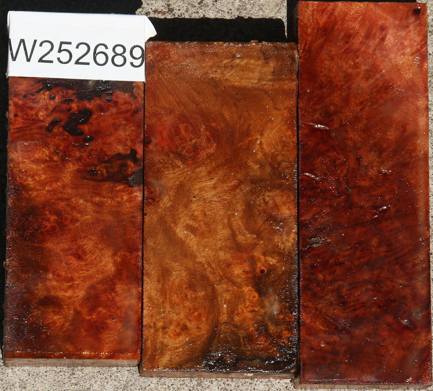 Camphor Burl Lumber Bargain Box