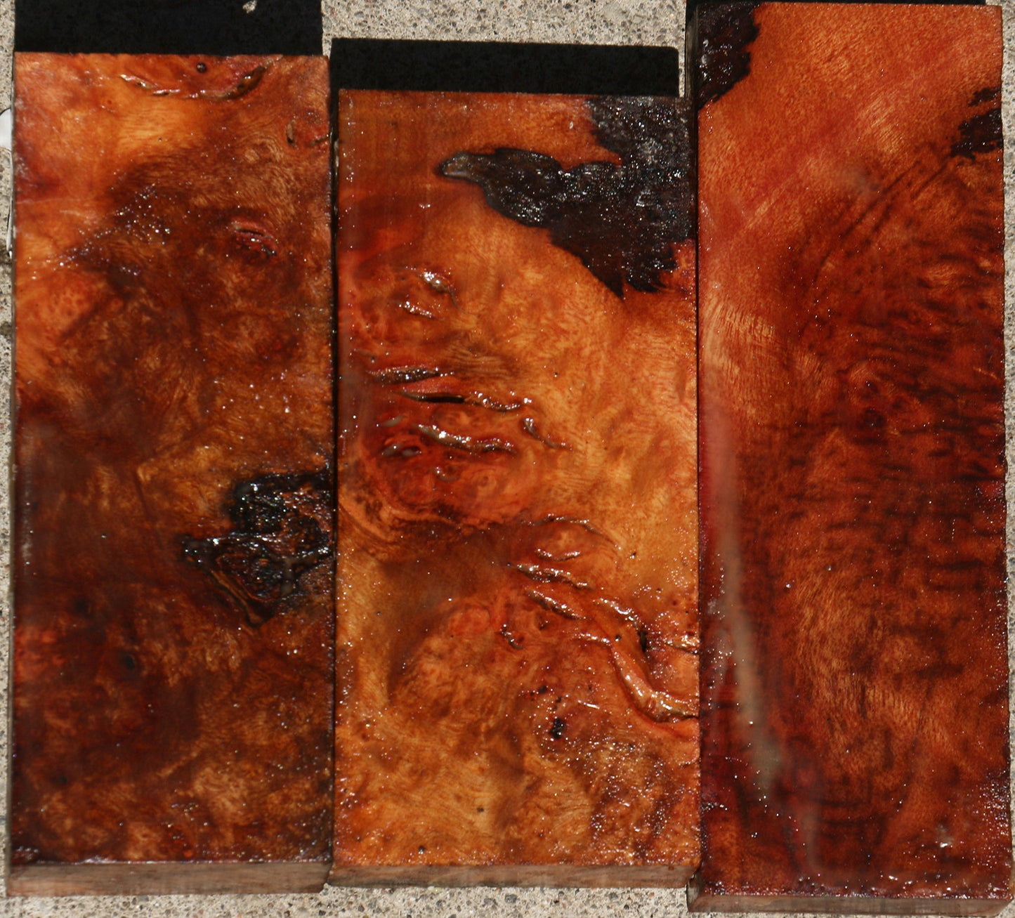 Camphor Burl Lumber Bargain Box