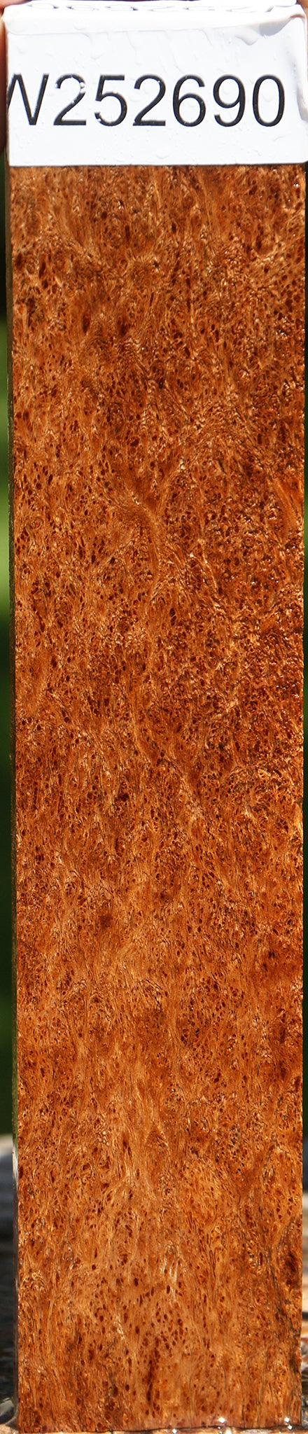 Museum Asian Satinwood Burl Lumber