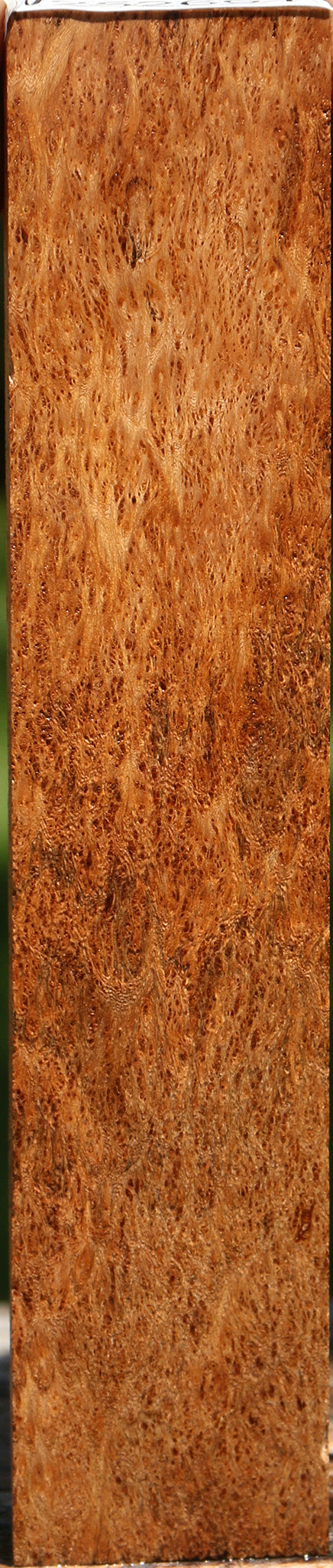 Museum Asian Satinwood Burl Lumber