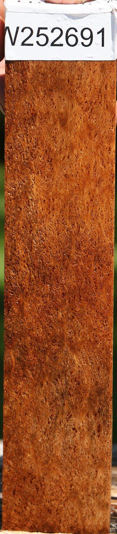 Museum Asian Satinwood Burl Lumber