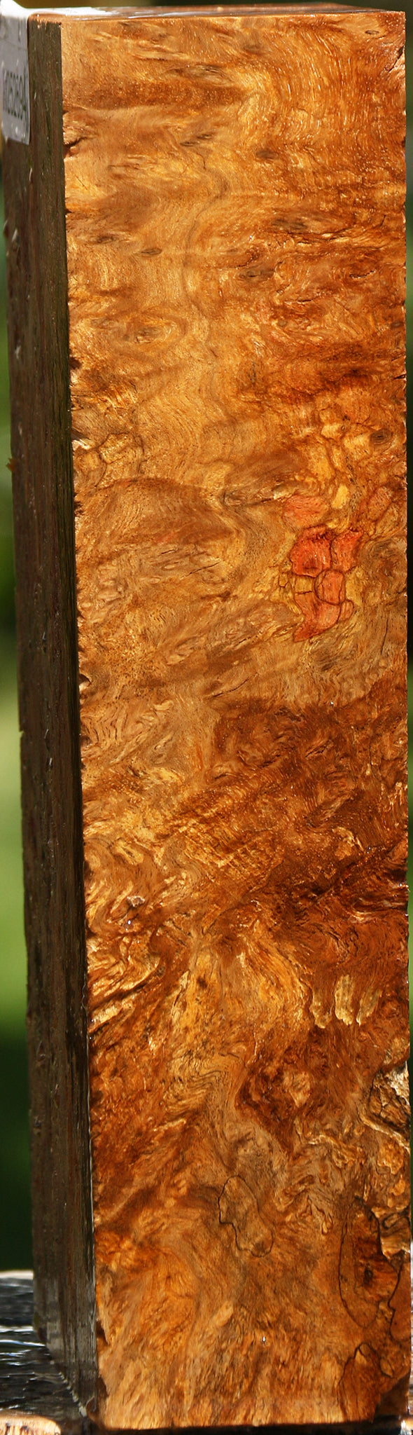 Elm Burl Turning Blank