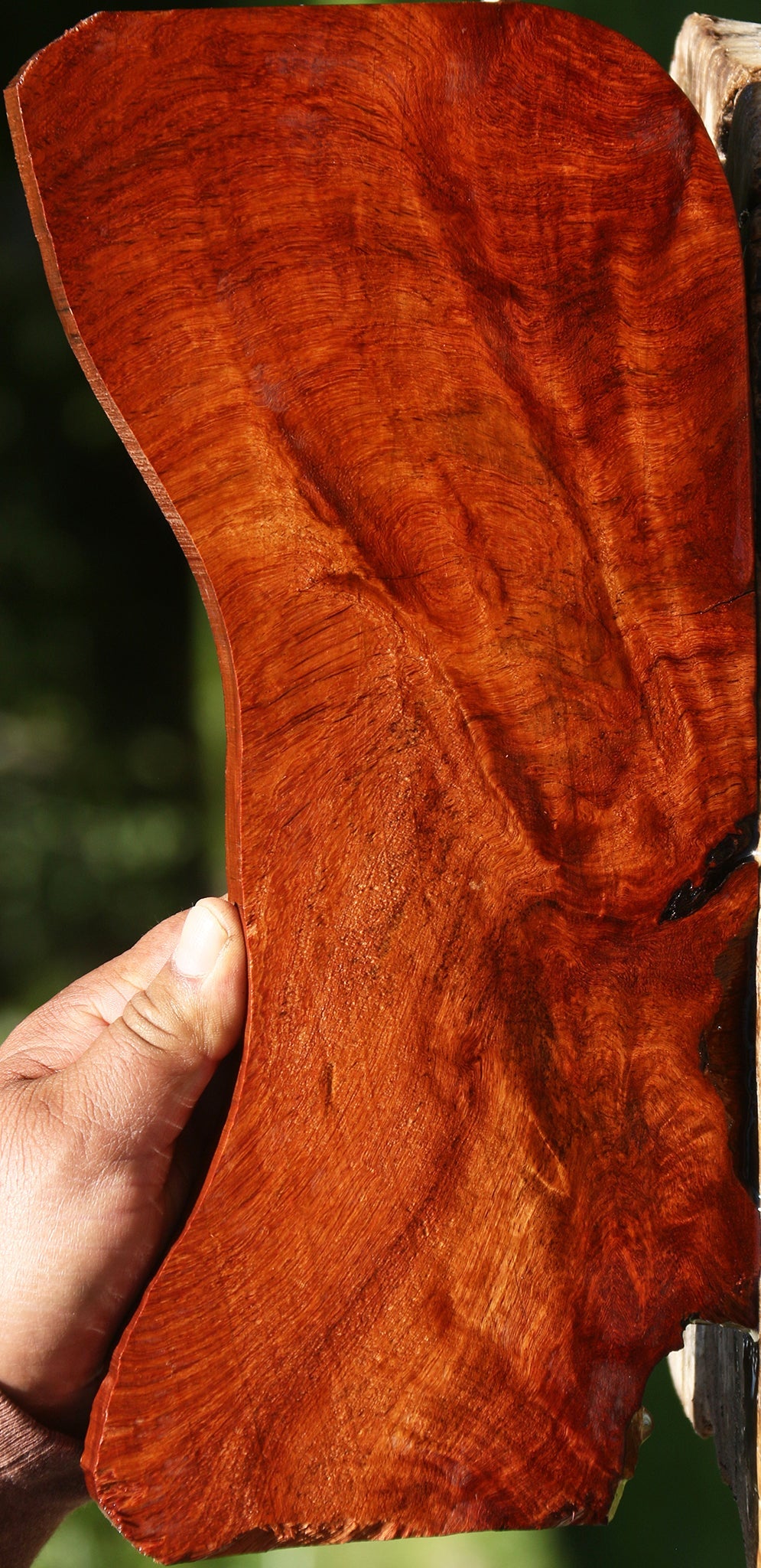 Amboyna Burl Lumber