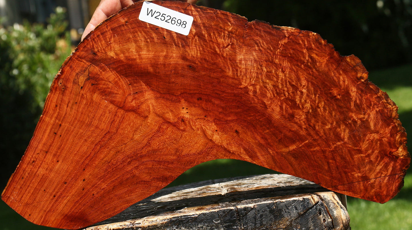 Extra Fancy Curly Narra Live Edge Micro Lumber