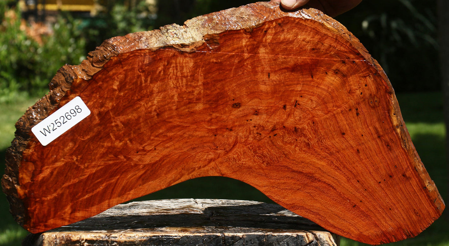Extra Fancy Curly Narra Live Edge Micro Lumber