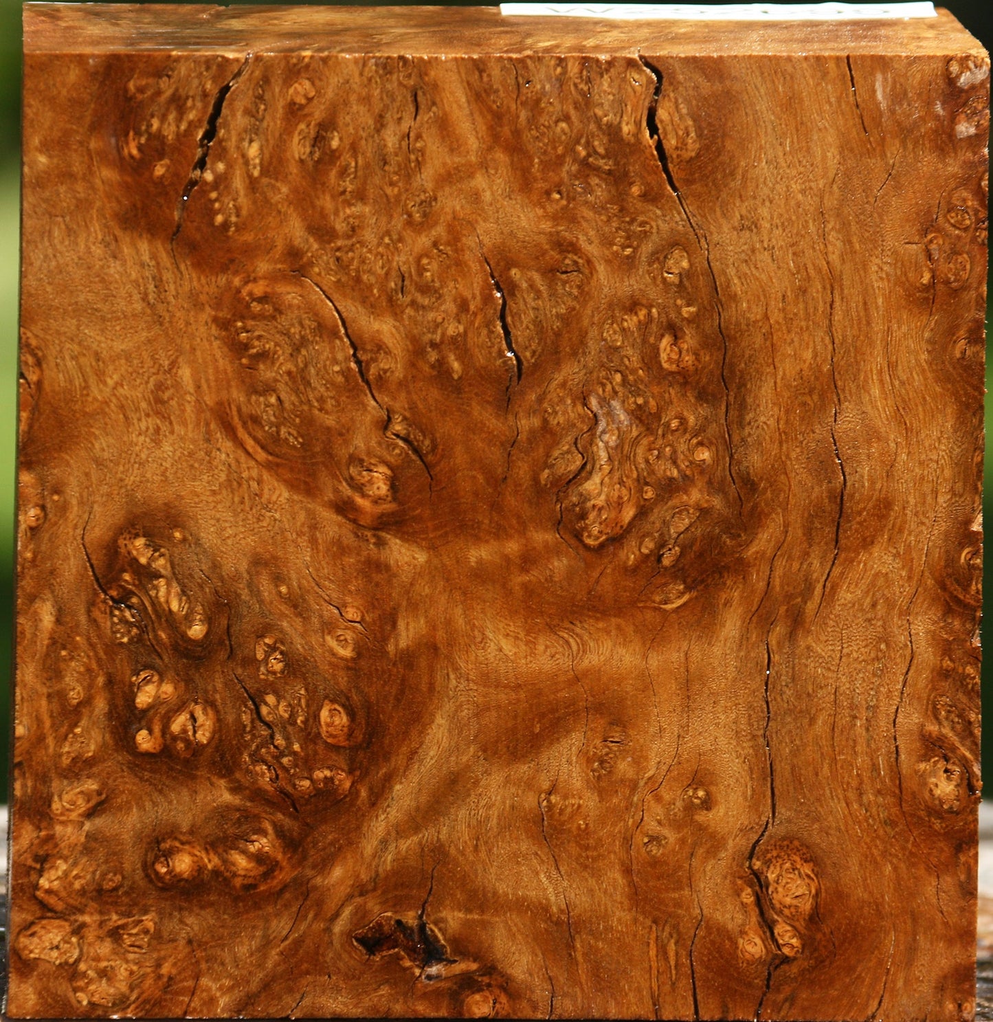 Rustic Almond Burl Bowl Blank