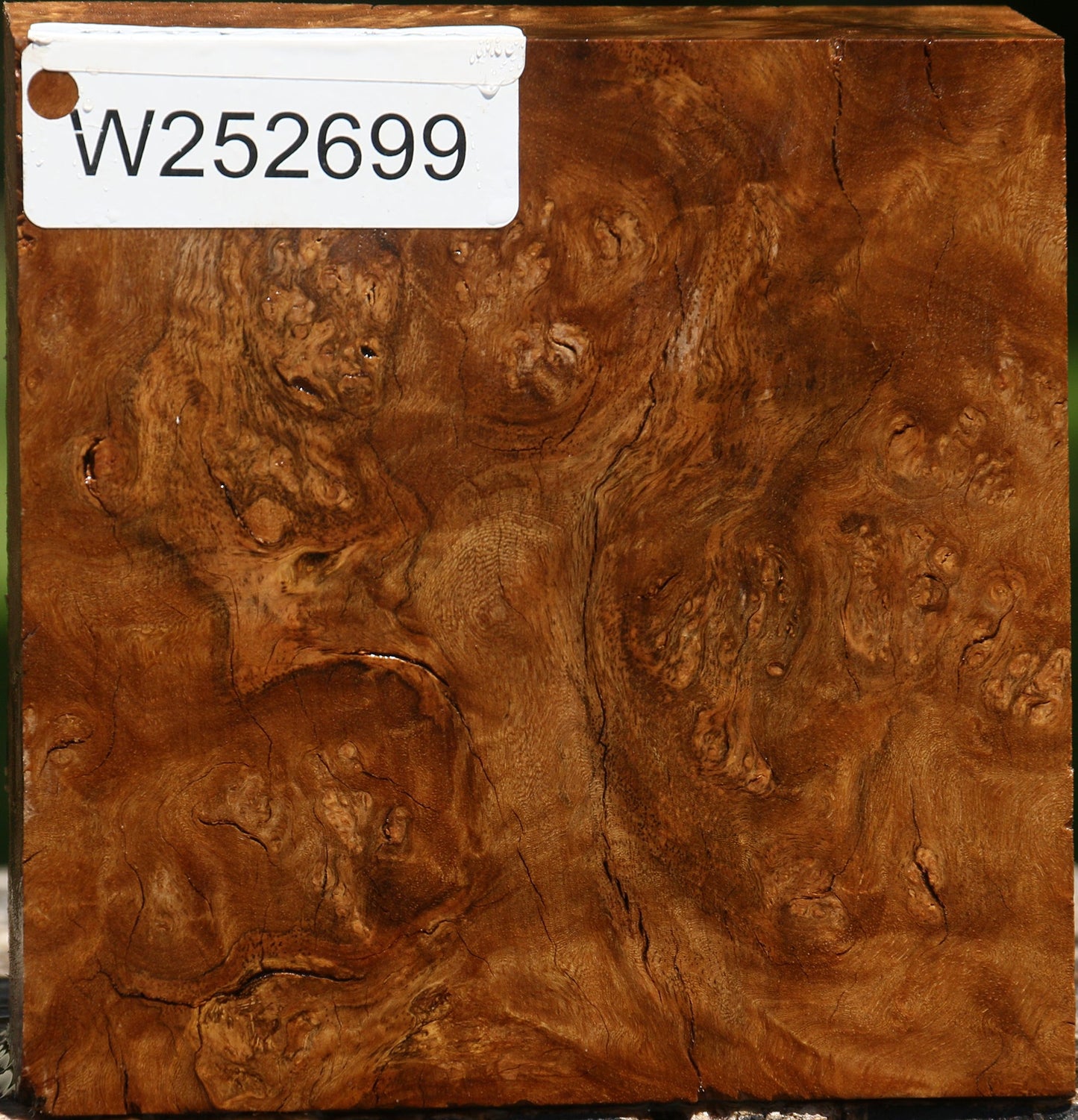 Rustic Almond Burl Bowl Blank