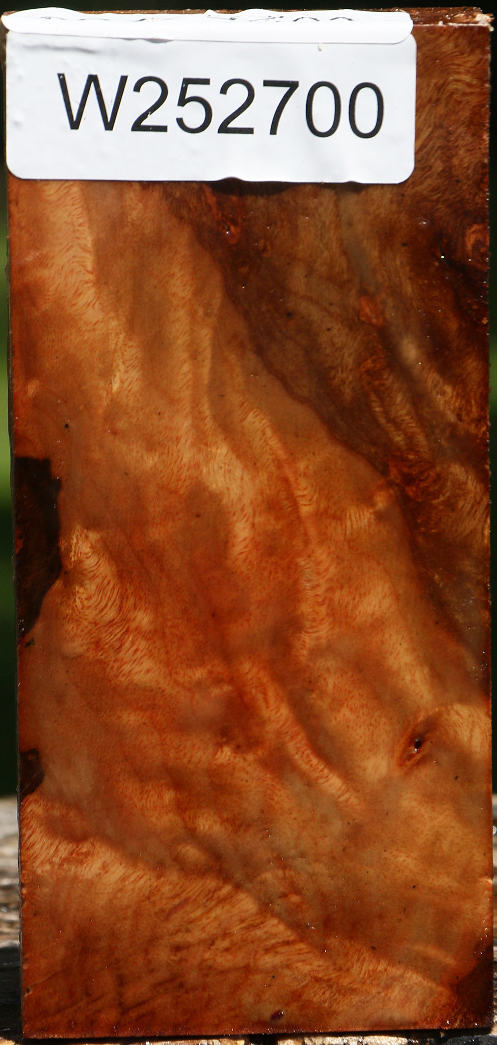 Camphor Burl Lumber