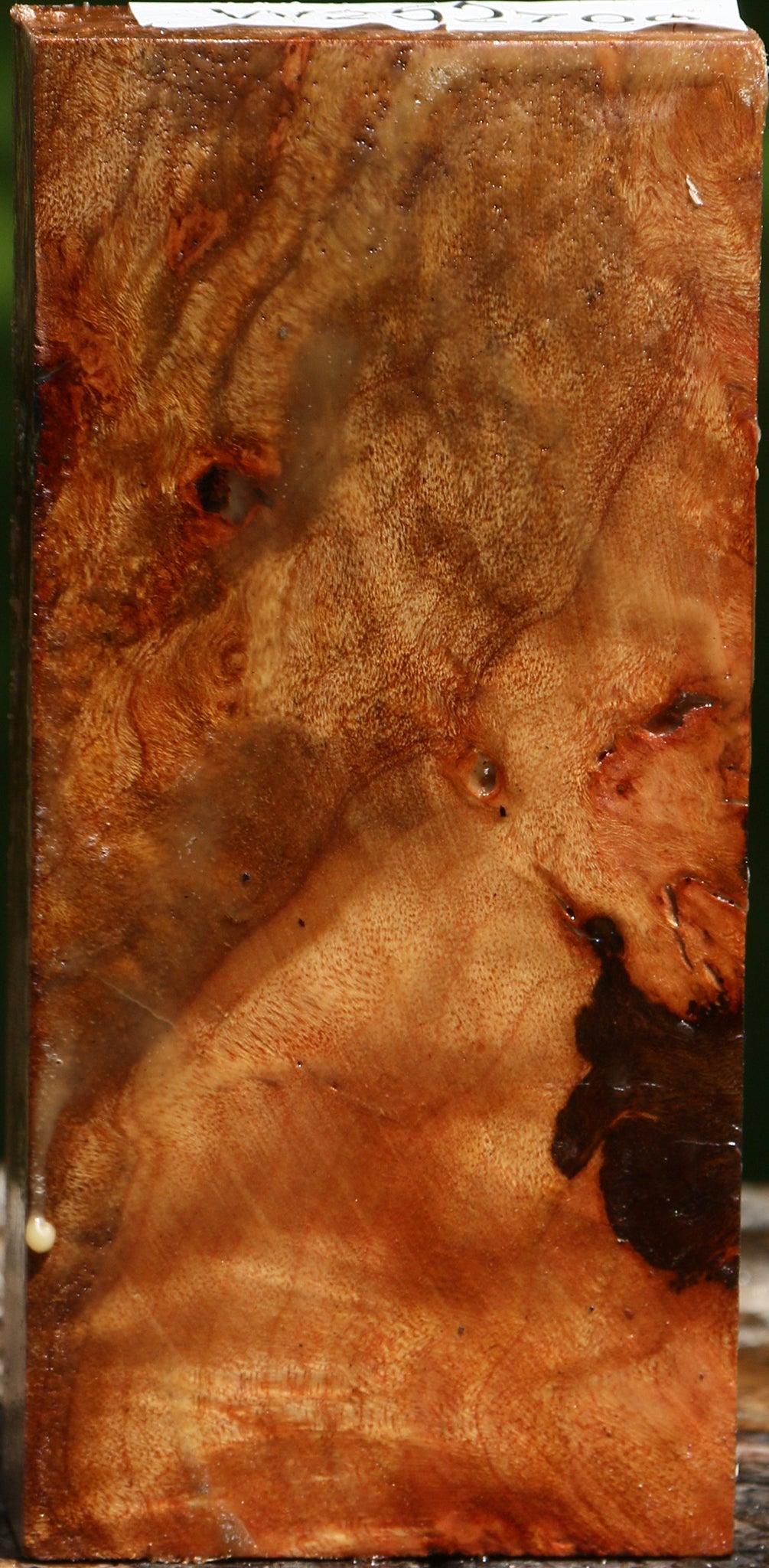 Camphor Burl Lumber