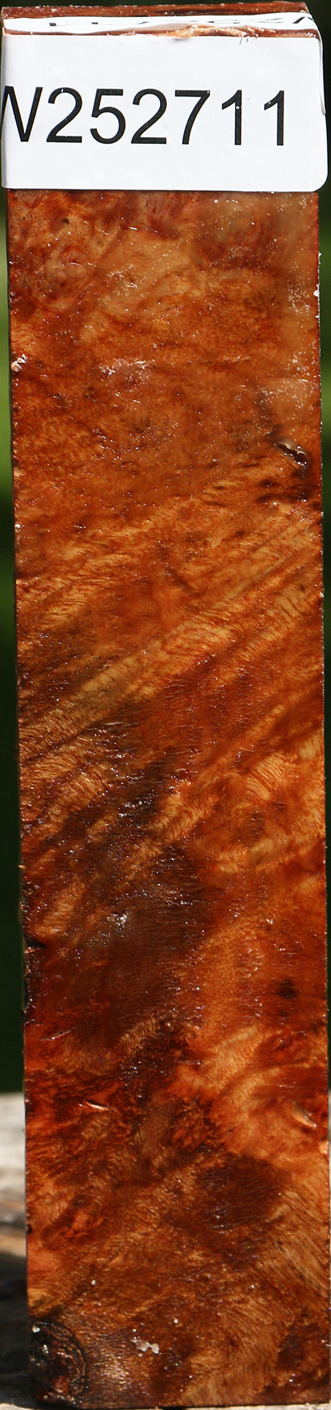 Camphor Burl Turning Square