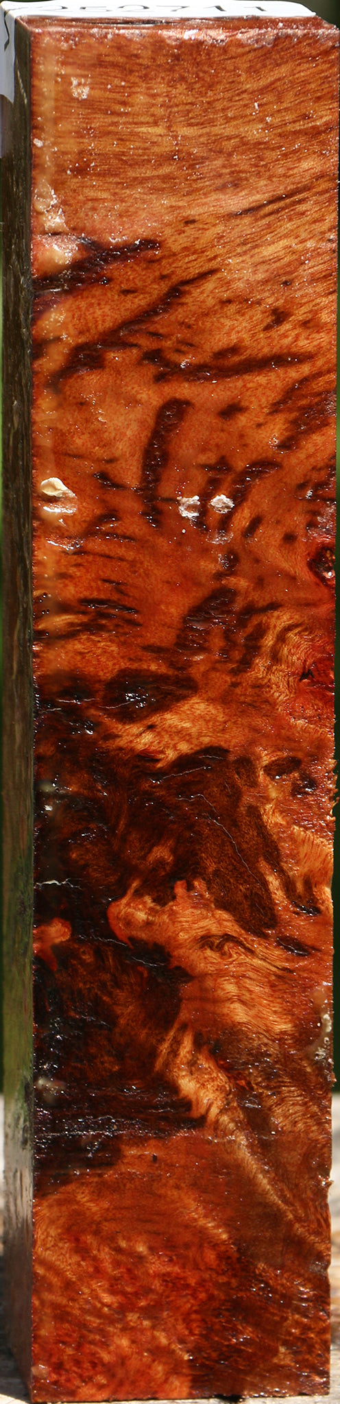 Camphor Burl Turning Square