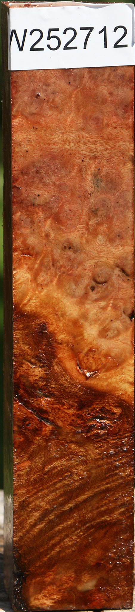 Camphor Burl Turning Square