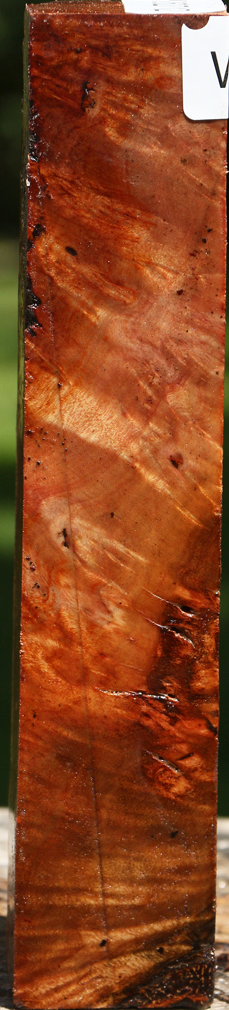 Camphor Burl Turning Square