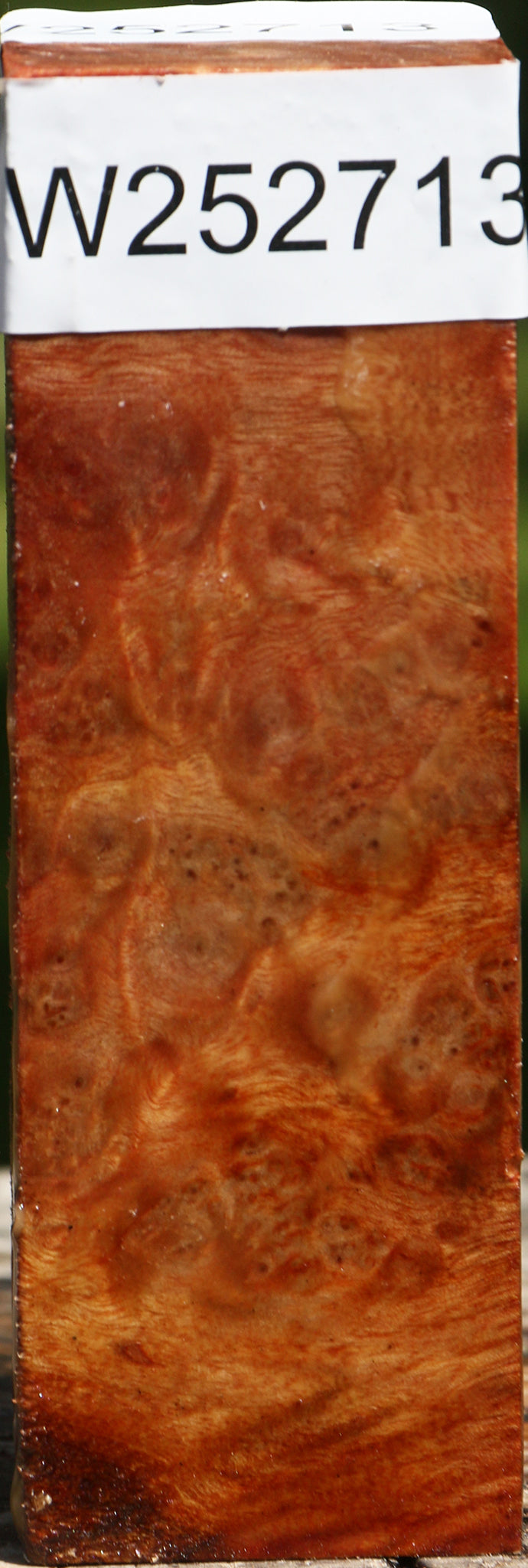 Camphor Burl Turning Square