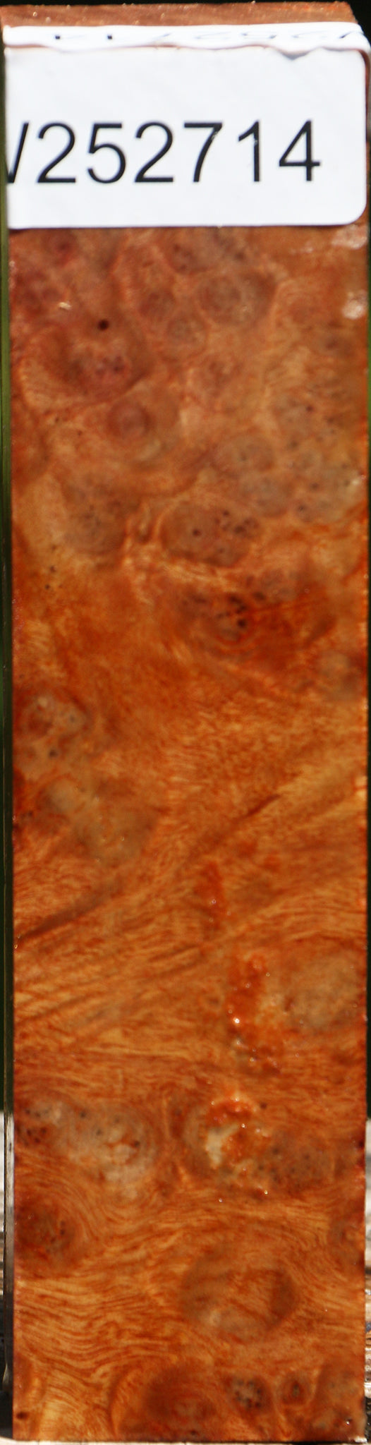 Camphor Burl Turning Square