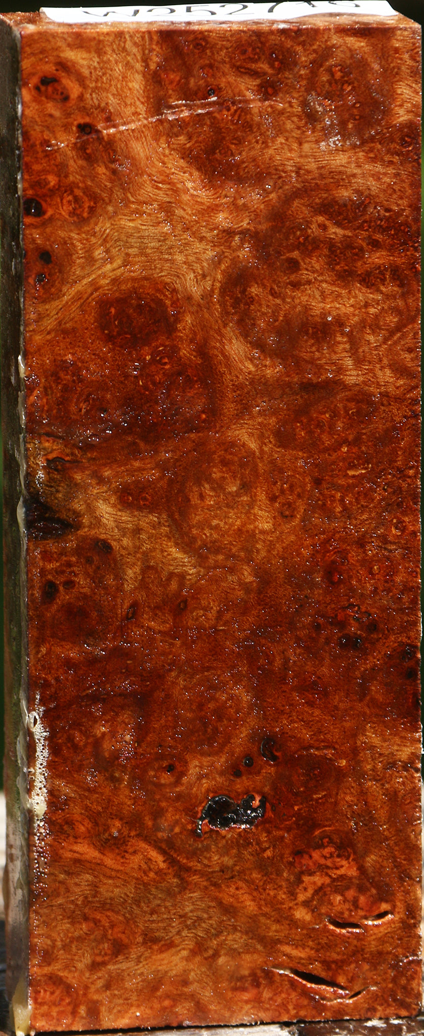 Camphor Burl Lumber