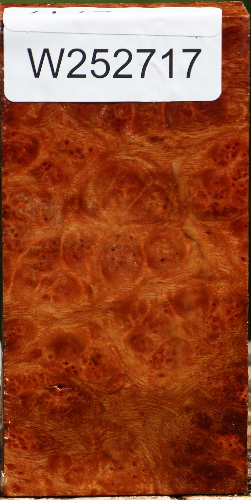 Camphor Burl Lumber