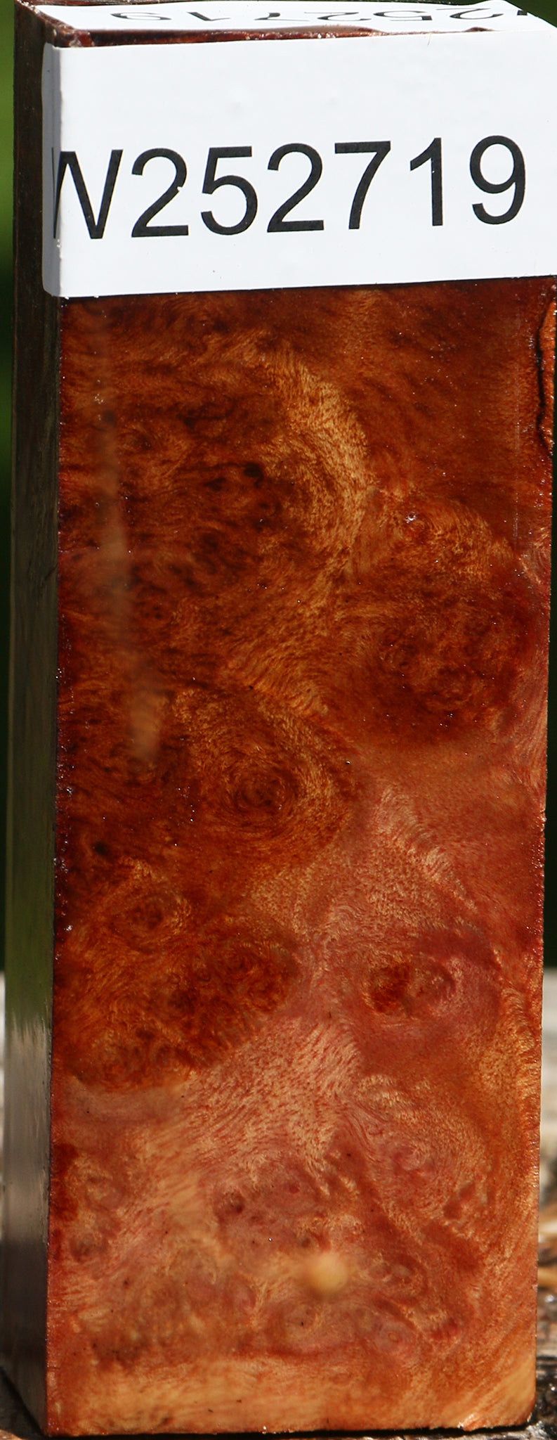 Camphor Burl Lumber
