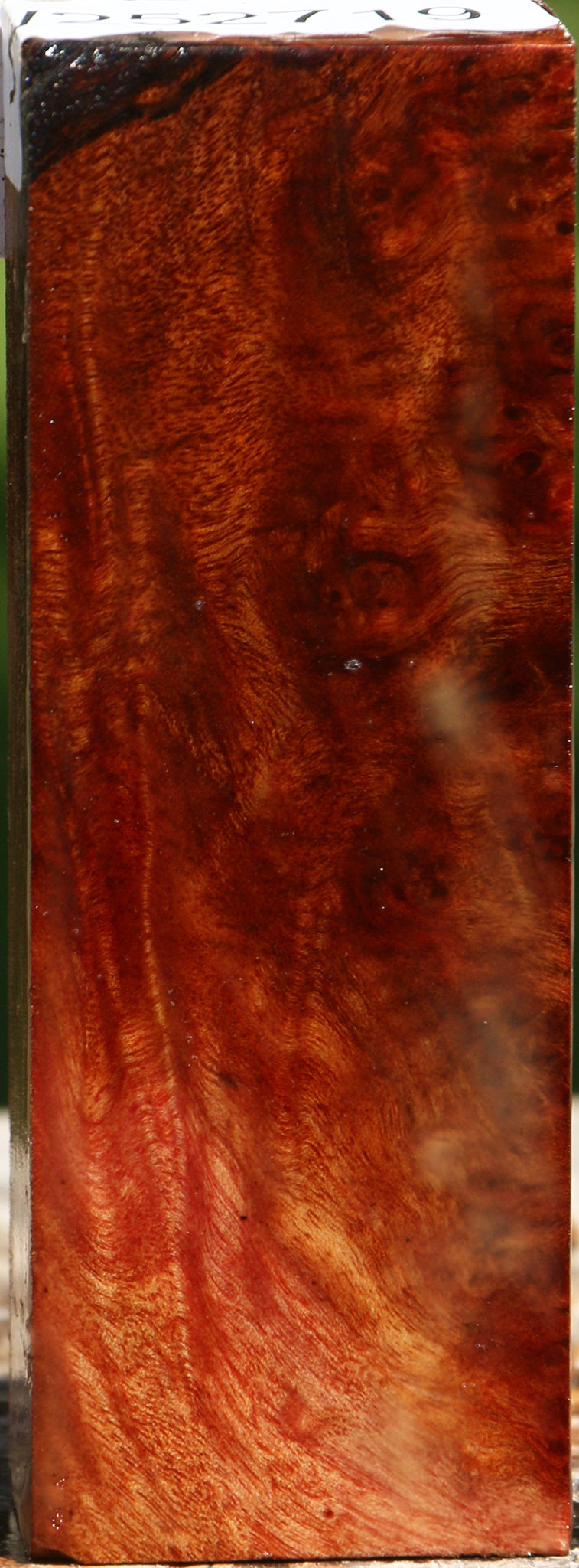 Camphor Burl Lumber