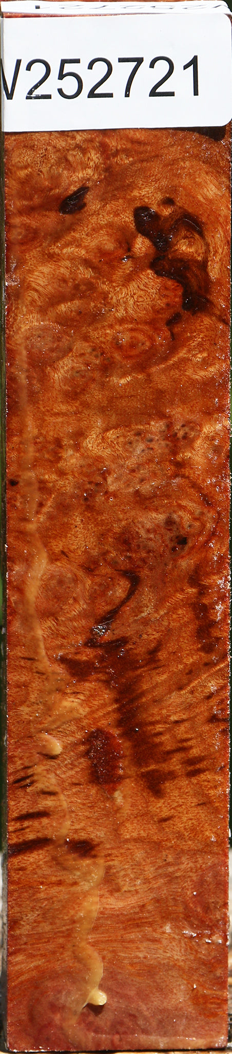 Rustic Camphor Burl Lumber