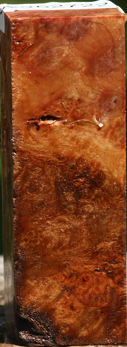 Camphor Burl Turning Square