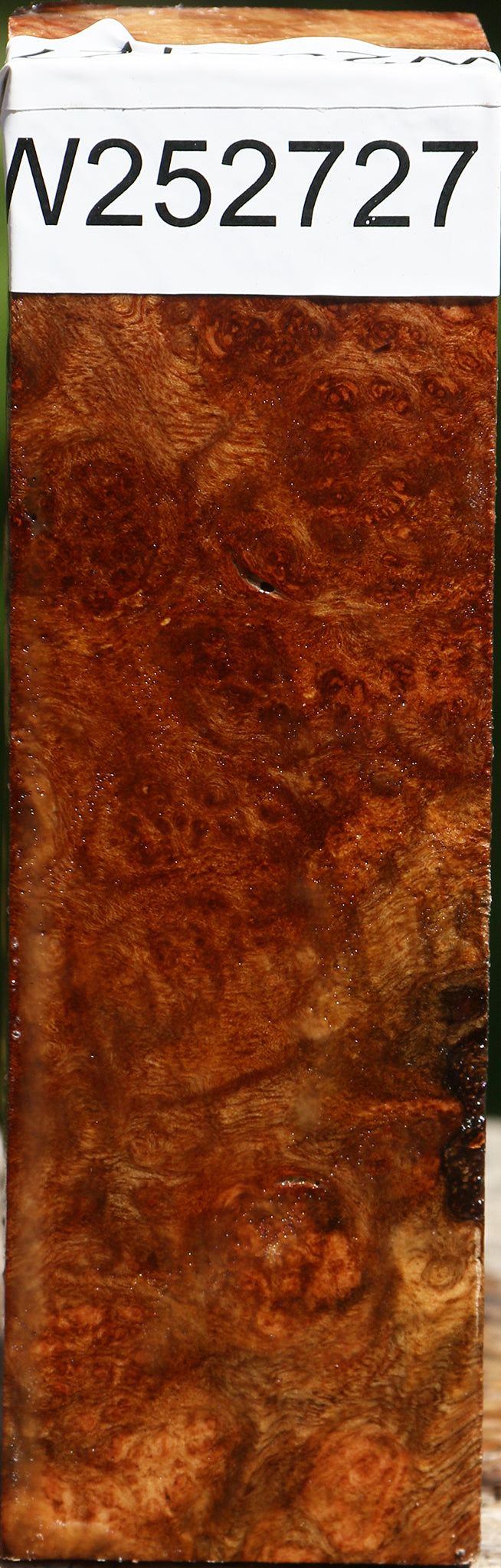 Camphor Burl Turning Blank