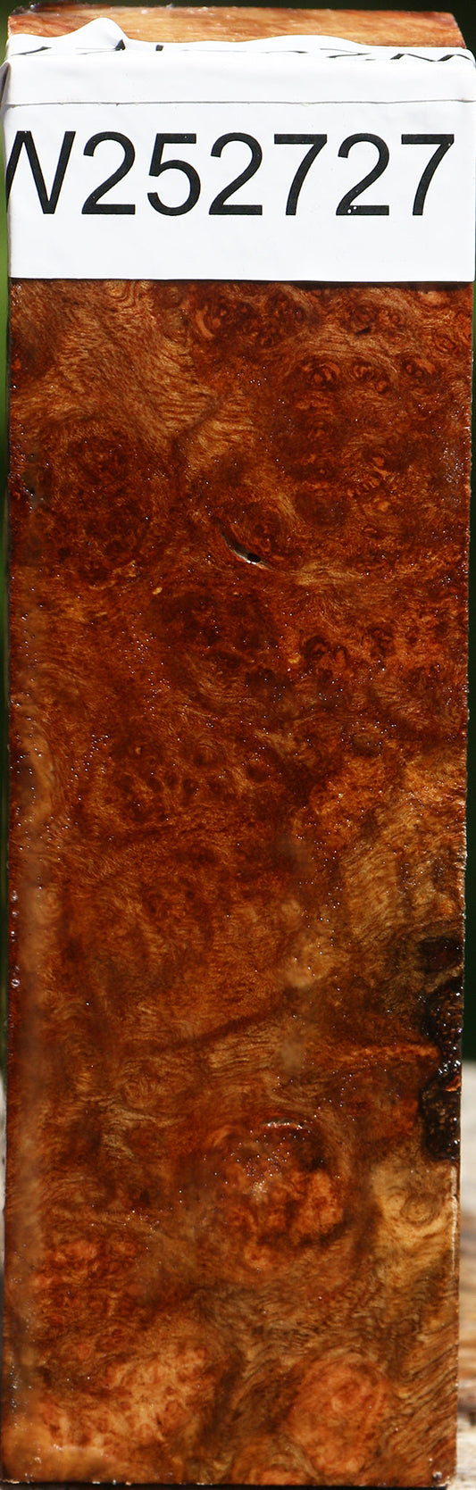 Camphor Burl Turning Blank