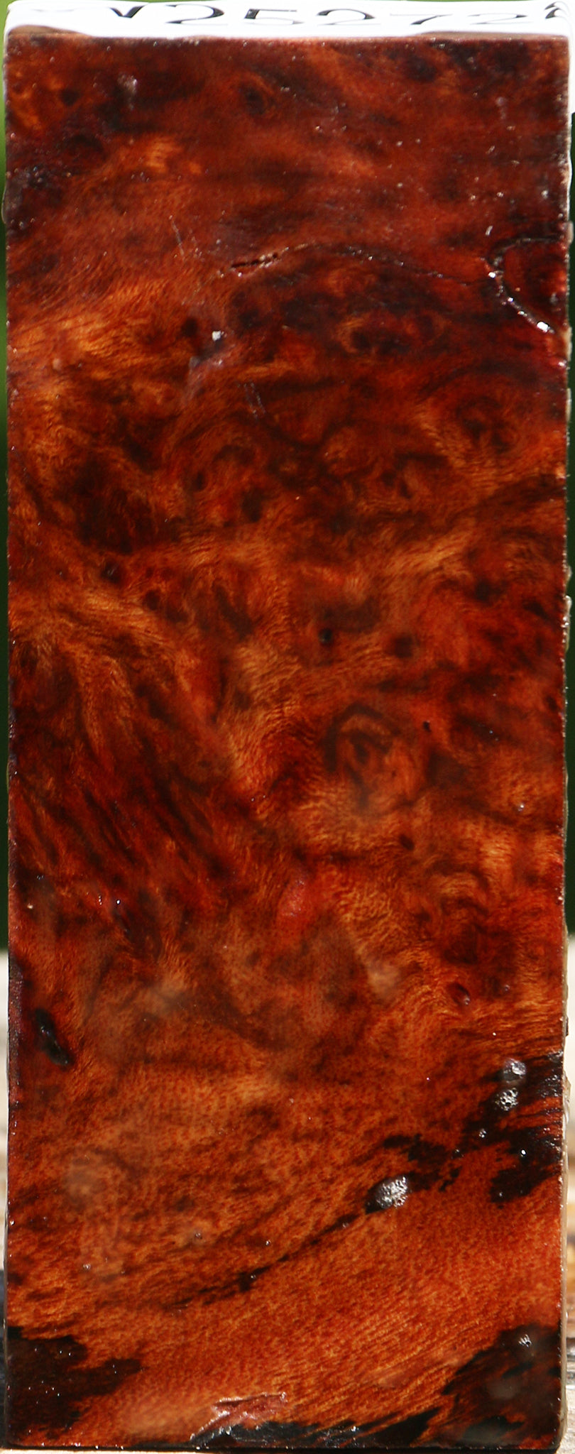 Camphor Burl Lumber